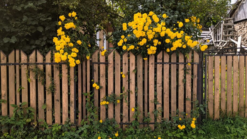 fence installers