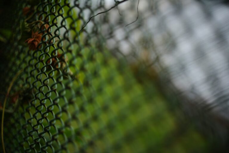 Chain Link Fence Installation Basics Explained
