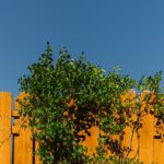 Best Times to Schedule Fence Installation in Fort Pierce