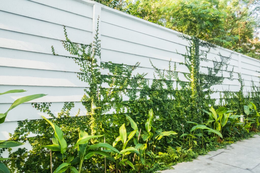 Vinyl Fences in Fort Pierce: Styles, Costs, and Weather Scheduling