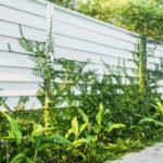 Vinyl Fences in Fort Pierce: Styles, Costs, and Weather Scheduling