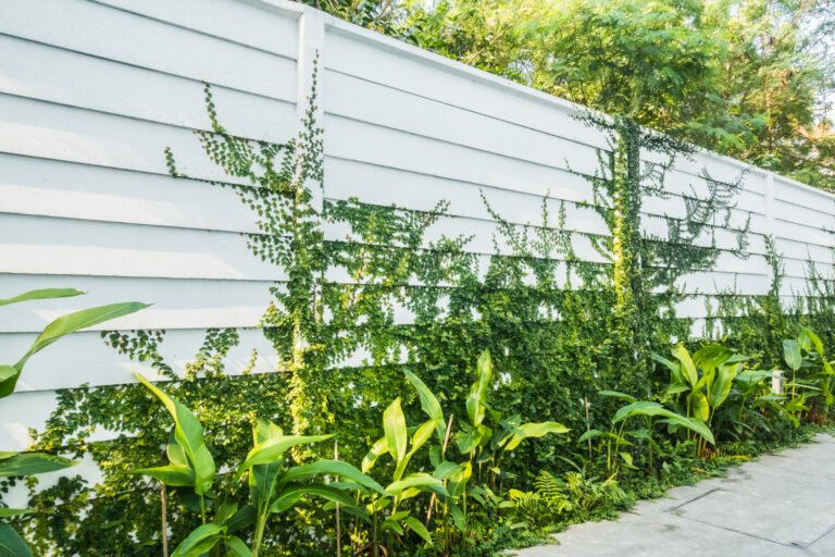 Vinyl Fences in Fort Pierce: Styles, Costs, and Weather Scheduling